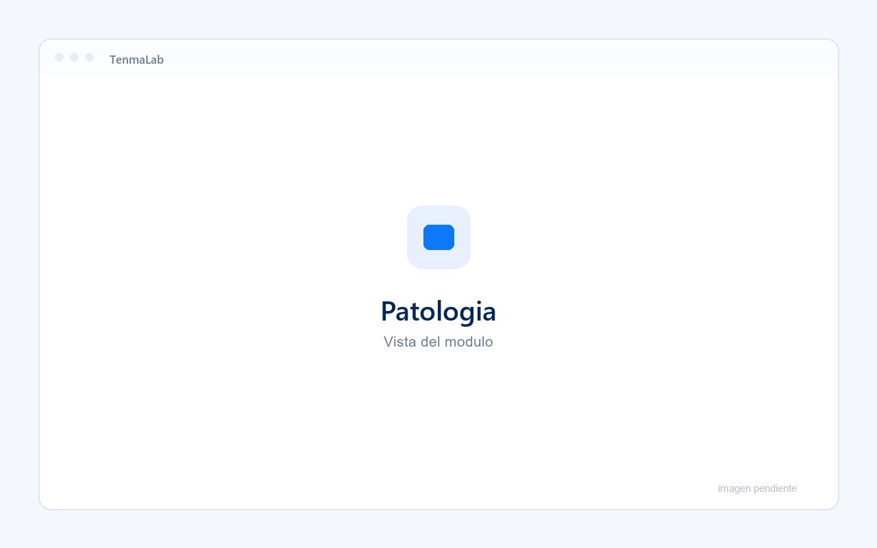 Informe descriptivo de patología en TenmaLab